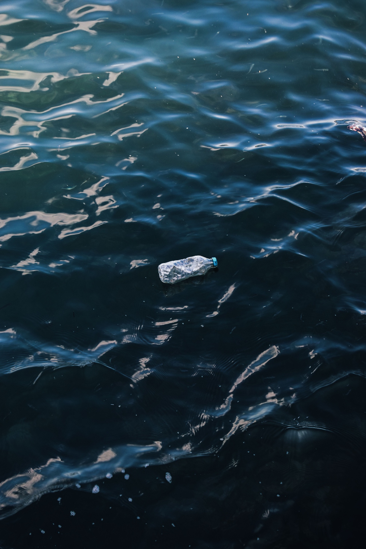 A single discarded plastic bottle drifting on the surface of dark open water