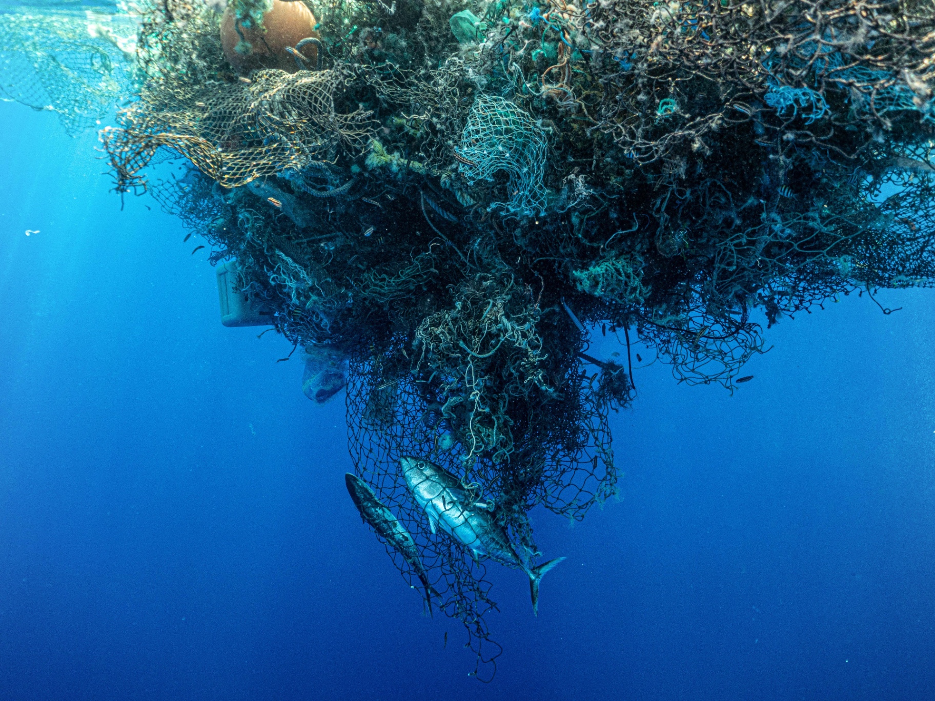 Discarded fishing net drifting in the open ocean